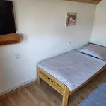 Domcek Janina Проживание в семье