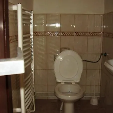 Domcek Janina ホームステイ